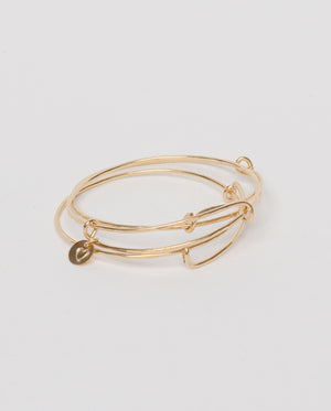 Mini Me Adjustable Bangle, Gold Filled